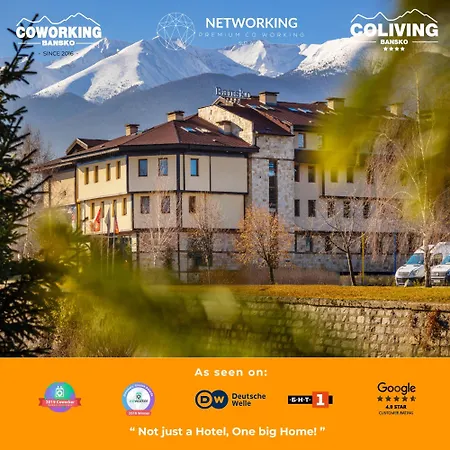 The Social By Networking Premium