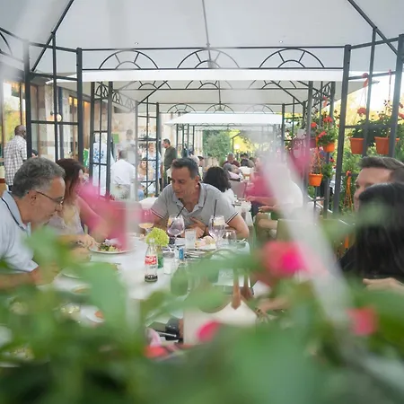 Np House- Social Hotel&coworking By Networking Premium, Free Shuttle Bansko