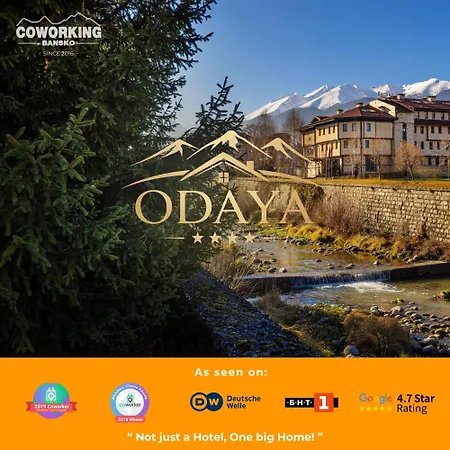 Odaya Social מלון בנסקו