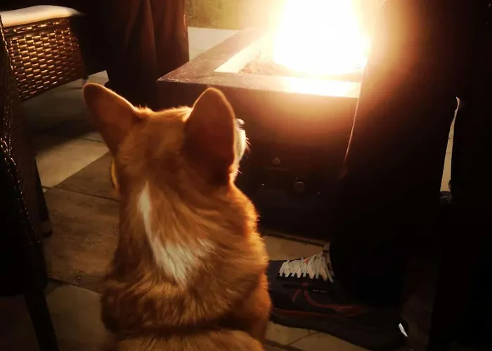 Np House- Social Hotel&coworking By Networking Premium, Free Shuttle